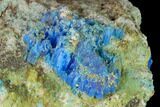 Vibrant Blue Chalcanthite Crystals - Mina Ojuela, Mexico #136843-3